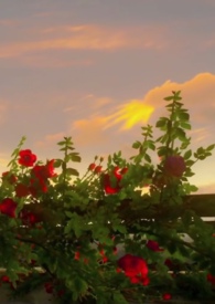 病爱摇篮曲(np,现代,含父女)